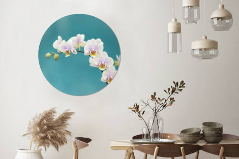 Runde Bilder - Orchidee - Blumen - Pflanze - Weiß - Lila-3