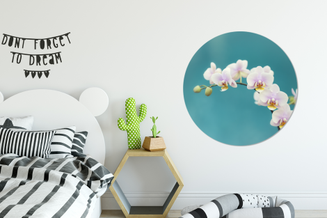 Runde Bilder - Orchidee - Blumen - Pflanze - Weiß - Lila-2