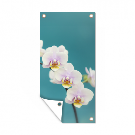 Tuinposter - Orchidee - Bloemen - Plant - Wit - Paars - Staand-1