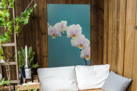 Tuinposter - Orchidee - Bloemen - Plant - Wit - Paars - Staand-thumbnail-4