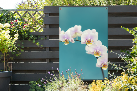 Tuinposter - Orchidee - Bloemen - Plant - Wit - Paars - Staand-thumbnail-2