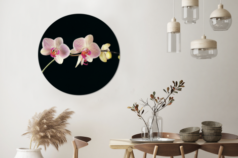 Muurcirkel - Orchidee - Bloemen - Zwart - Roze - Knoppen-3