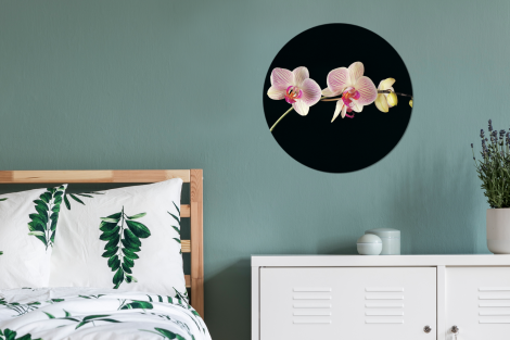 Muurcirkel - Orchidee - Bloemen - Zwart - Roze - Knoppen-4