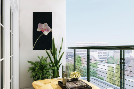 Tuinposter - Orchidee - Bloemen - Zwart - Roze - Knoppen - Staand-thumbnail-3