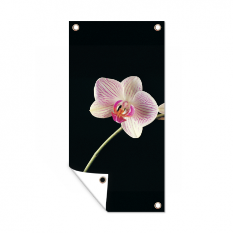 Tuinposter - Orchidee - Bloemen - Zwart - Roze - Knoppen - Staand-1