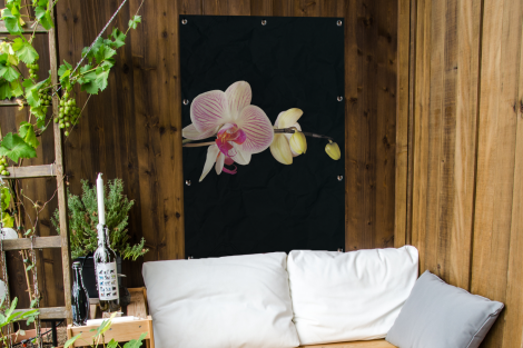 Tuinposter - Orchidee - Bloemen - Zwart - Roze - Knoppen - Staand-4