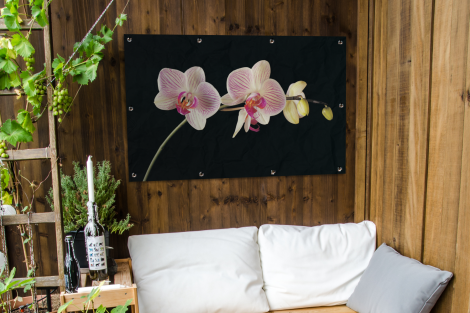 Tuinposter - Orchidee - Bloemen - Zwart - Roze - Knoppen - Liggend-thumbnail-3