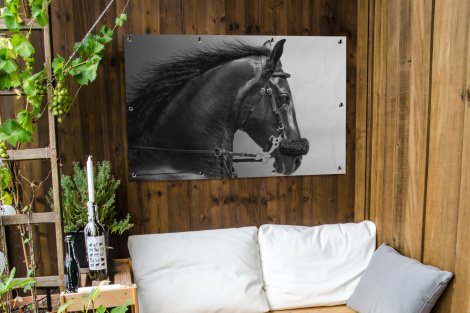 Tuinposter - Paarden - Zwart - Portret - Dieren - Liggend-3