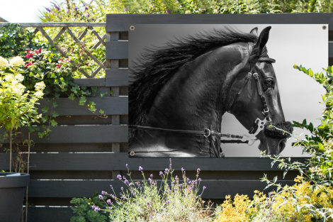 Tuinposter - Paarden - Zwart - Portret - Dieren - Liggend-2