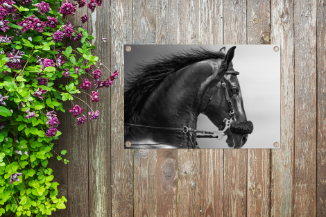 Tuinposter - Paarden - Zwart - Portret - Dieren - Liggend-4