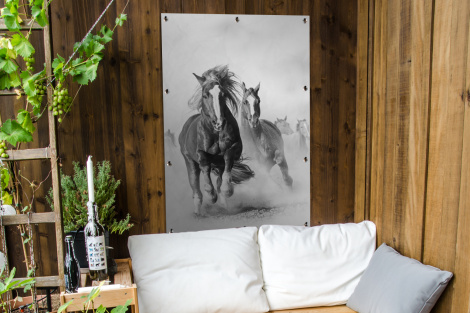 Tuinposter - Paarden - Dieren - Illustratie - Staand-thumbnail-4