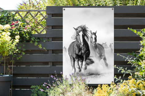 Tuinposter - Paarden - Dieren - Illustratie - Staand-2