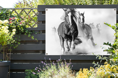 Tuinposter - Paarden - Dieren - Illustratie - Liggend-thumbnail-2