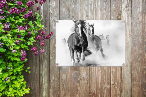 Tuinposter - Paarden - Dieren - Illustratie - Liggend-thumbnail-4