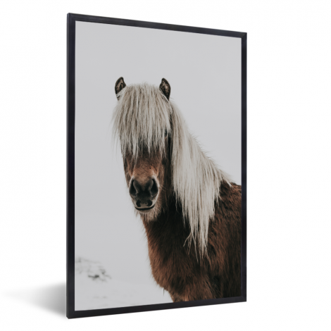 Poster met lijst - Paarden - Dieren - Portret - Bruin - Wit - Staand-1