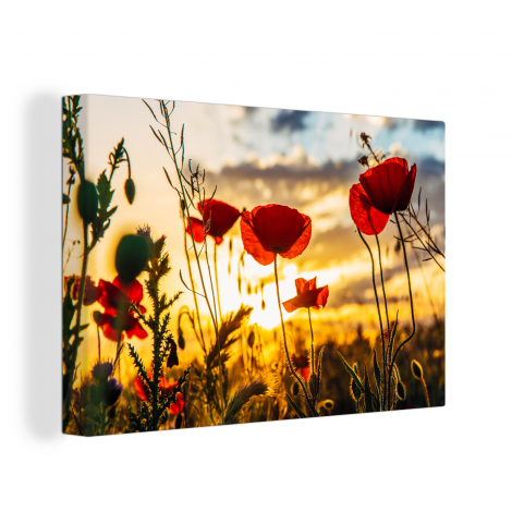 Leinwand - Rote Mohnblumen bei Sonnenaufgang-1
