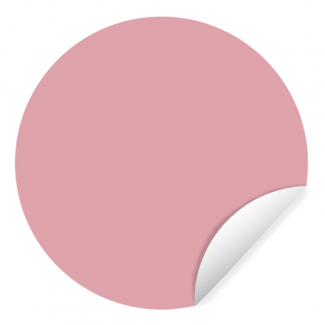 Runde Tapete - Rosa - Farben - Innenraum - Einfarbig - Farbe-1