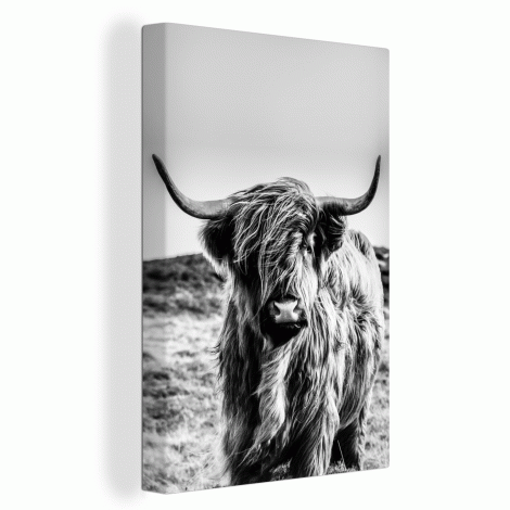 Canvas - Schotse hooglander - Zwart - Wit-thumbnail-1