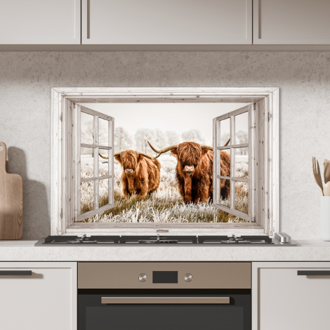 Spritzschutz Küche - Durchblick - Schottischer Highlander - Tiere-2