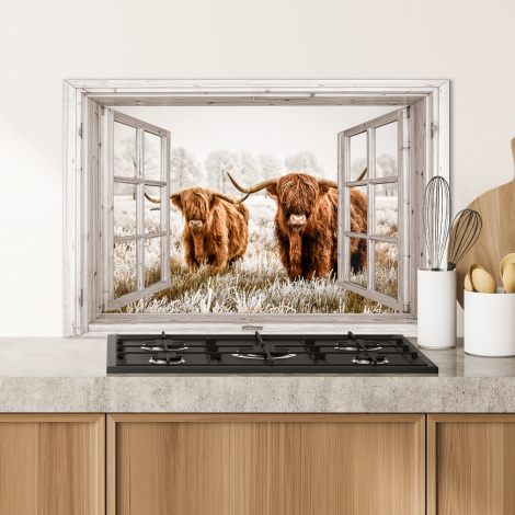 Spritzschutz Küche - Durchblick - Schottischer Highlander - Tiere-4
