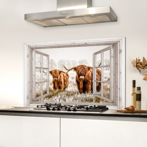 Spritzschutz Küche - Durchblick - Schottischer Highlander - Tiere-3