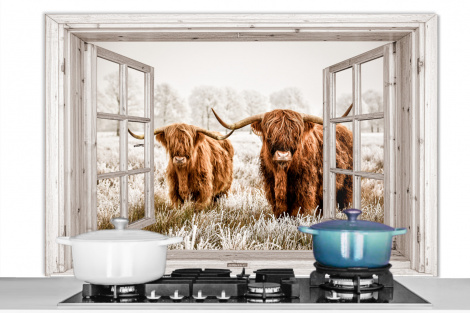 Spatscherm keuken - Doorkijk - Schotse hooglander - Dieren