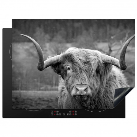 Protège-plaque à induction - Highlander écossais - Tête de vache - Paysage - Nature - Vache