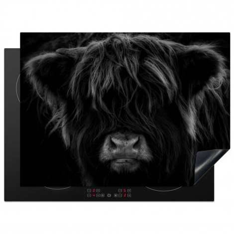 Herdabdeckplatte - Schottischer Highlander - Kuh - Porträt - Tiere