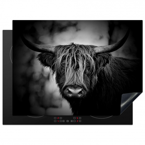 Inductiebeschermer - Schotse hooglander - Licht - Portret - Natuur