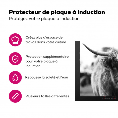 Protège-plaque à induction - Highlander écossais - Vache - Herbe - Animaux - Nature-3