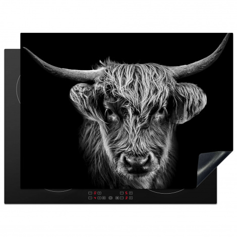 Inductiebeschermer - Schotse hooglander - Zwart - Koe - Dieren