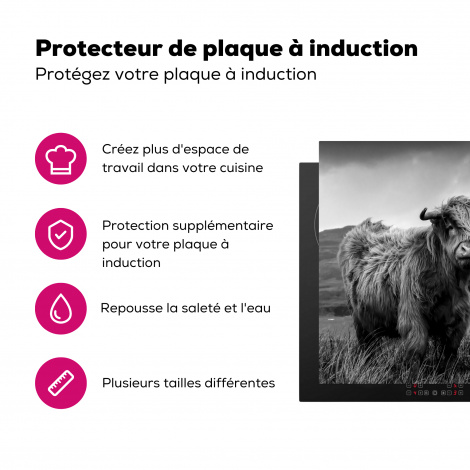 Protège-plaque à induction - Highlander écossais - Montagne - Eau - Nature - Vache-3