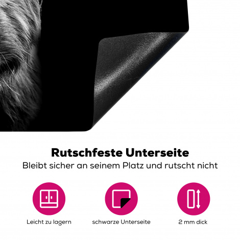 Herdabdeckplatte Schottischer Highlander - Hörner - Schwarz - Weiß-4