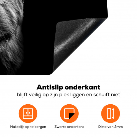 Inductie beschermer - Close-up van een Schotse hooglander in zwart wit-4