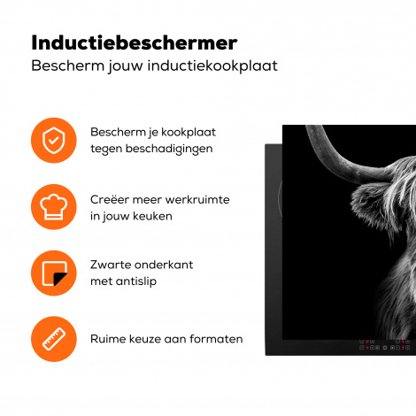 Inductie beschermer - Close-up van een Schotse hooglander in zwart wit-3