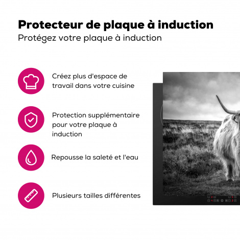 Protège-plaque à induction - Highlander écossais - Animaux - Nuages - Vache - Nature-3