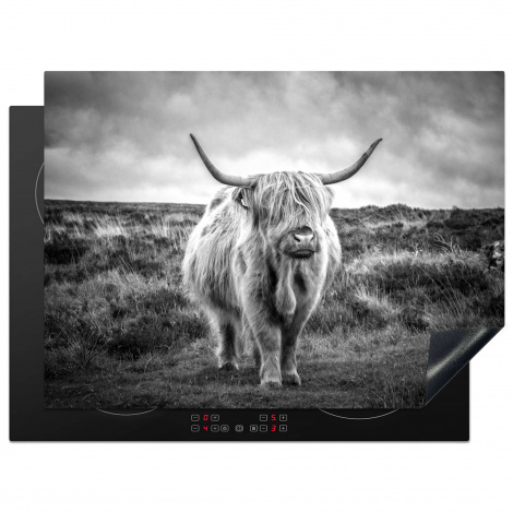 Herdabdeckplatte - Schottischer Hochländer - Tiere - Wolken - Kuh - Natur