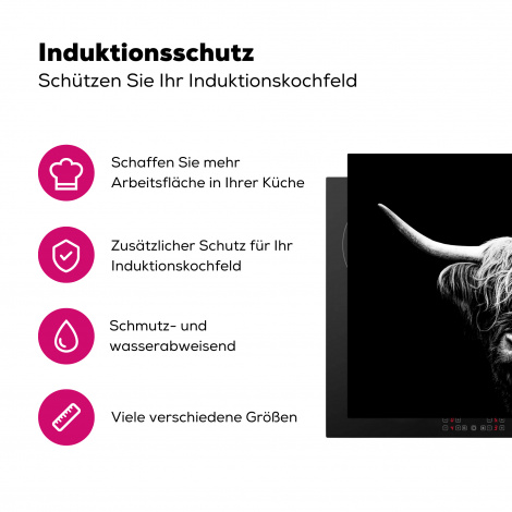 Herdabdeckplatte - Schottischer Highlander - Kuh - Schwarz - Weiß - Tiere-3