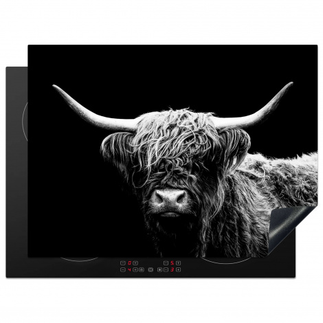 Protège-plaque à induction - Highlander écossais - Vache - Noir - Blanc - Animaux