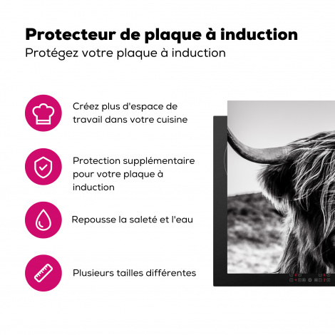 Protège-plaque à induction - Vache - Highlander écossais - Noir - Blanc - Animal - Nature - Vie sauvage-3