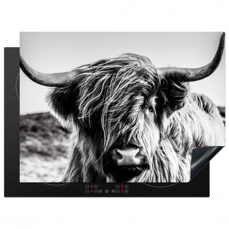 Protège-plaque à induction - Vache - Highlander écossais - Noir - Blanc - Animal - Nature - Vie sauvage