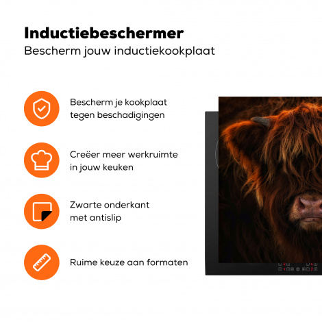 Inductiebeschermer - Schotse Hooglander - Koe - Portret - Dieren-3