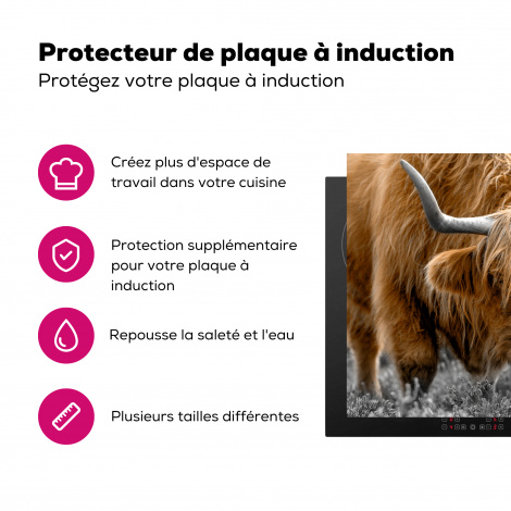 Protège-plaque à induction - Highlander écossais - Animaux - Brun - Vache - Noir - Blanc - Nature-3