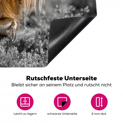 Herdabdeckplatte - Schottischer Highlander - Tiere - Braun - Kuh - Schwarz - Weiß - Natur-4