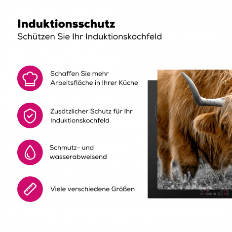 Herdabdeckplatte - Schottischer Highlander - Tiere - Braun - Kuh - Schwarz - Weiß - Natur-3