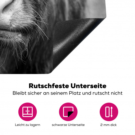 Herdabdeckplatte - Schottischer Highlander - Kuh - Schwarz - Weiß - Tiere-4