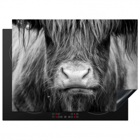 Herdabdeckplatte - Schottischer Highlander - Kuh - Schwarz - Weiß - Tiere