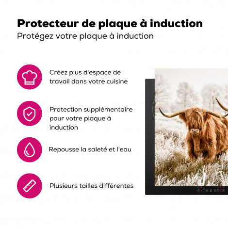Protège-plaque à induction - Scottish highlander - Vache - Animaux - Nature - Bruyère-3