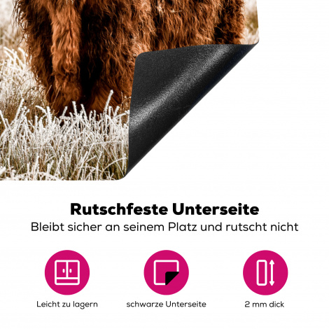 Herdabdeckplatte - Schottischer Hochländer - Kuh - Tiere - Natur - Heidekraut-4