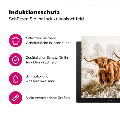 Herdabdeckplatte - Schottischer Hochländer - Kuh - Tiere - Natur - Heidekraut-3